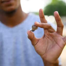 Close up of a person's hand holding his new hearing aid.